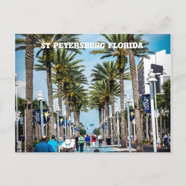 St. Petersburg, Florida Palmen Postkarte (Vorderseite)