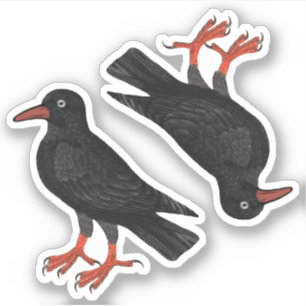 St. Piran's Day / St. Thomas Becket Choughs (fL) - Aufkleber