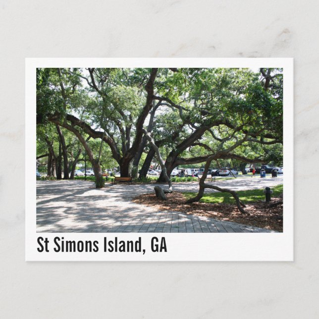 St Simons GA Wandereiche Tree Postkarte (Vorderseite)