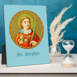 St. Stephen (SNV 26) (Square Image) 8"x10" Fotoplatte