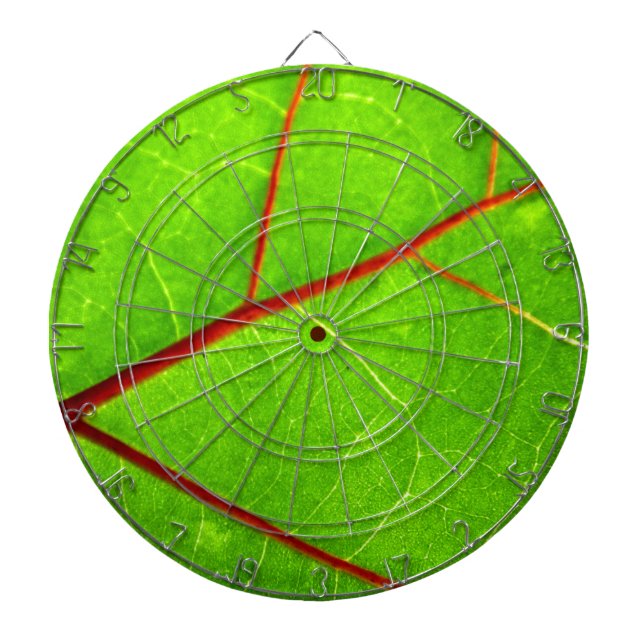 St Thomas 1 Dartscheibe (vorne)