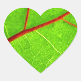 St Thomas 1 Herz-Aufkleber