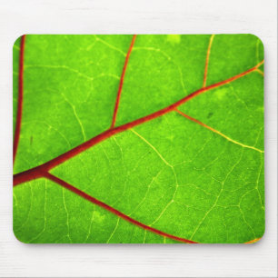 St Thomas 1 Mousepad