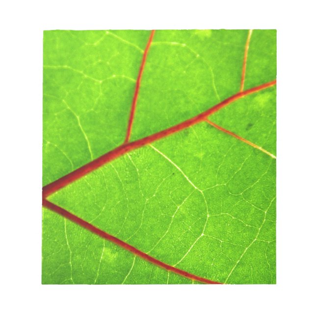 St Thomas 1 Notizblock (Vorderseite)