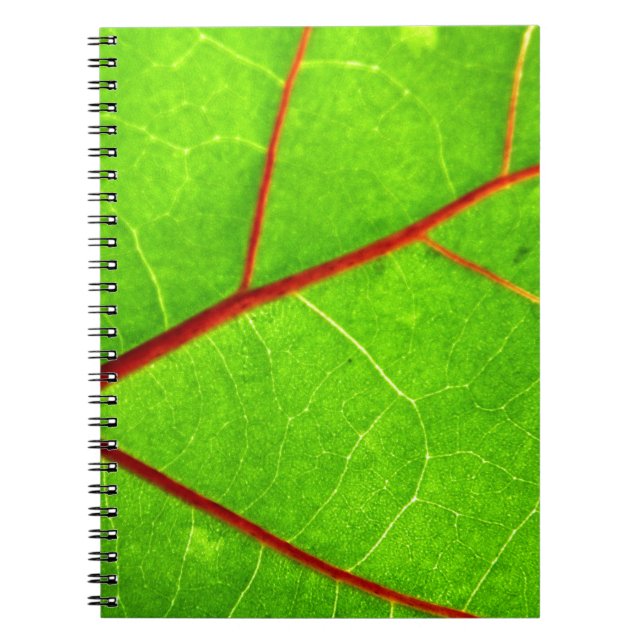 St Thomas 1 Notizblock (Vorderseite)