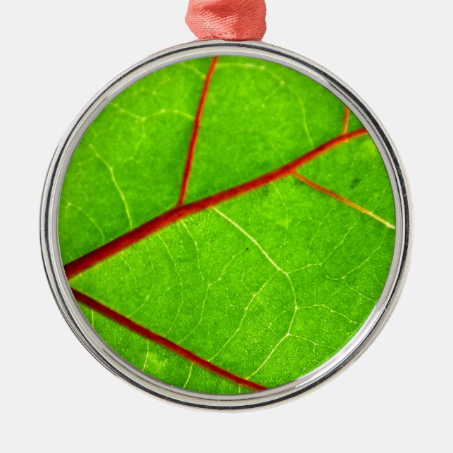 St Thomas 1 Silbernes Ornament (Vorne)