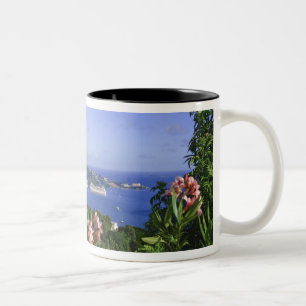 St. Thomas, Amerikanische Jungferninseln. Charlott Zweifarbige Tasse