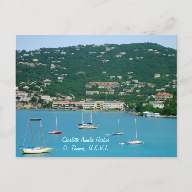 St. Thomas Sailboats-Brauch Postkarte (Vorderseite)