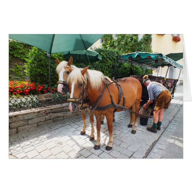 St. Wolfgang in Österreich (Vorderseite (Horizontal))