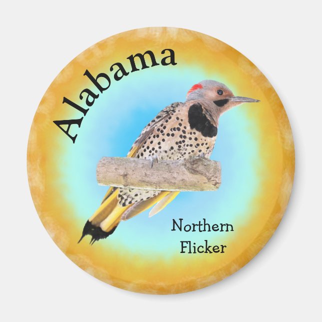 Staat Bird of Alabama Magnet (Vorne)