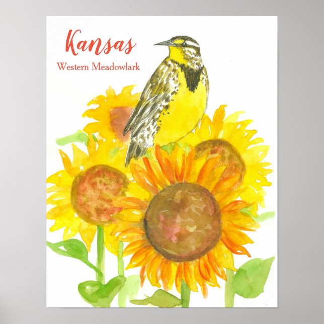 Staat Bird of Kansas Meadowlark Sonnenblume Poster (Vorne)