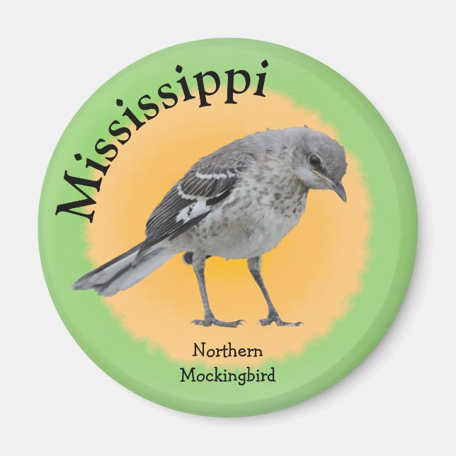 Staat Bird of Mississippi Magnet (Vorne)