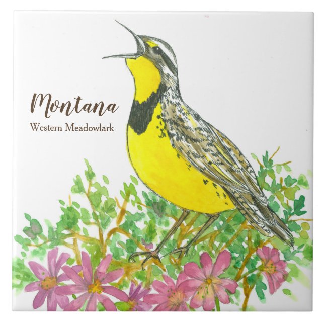 Staat Bird of Montana Meadowlark Songbird Fliese (Vorderseite)