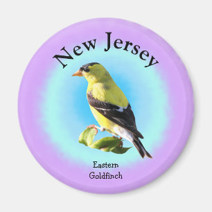 Staat Bird of New Jersey Magnet