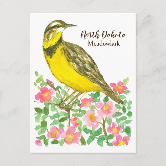 Staat Bird of North Dakota Meadowlark Rose Postkarte (Vorderseite)