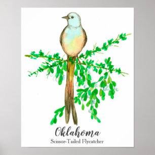 Staat Bird of Oklahoma Scissor Tegelflycatcher Poster
