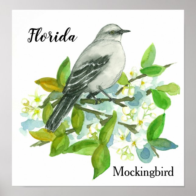Staat Blume Florida Orange Blossom Mockingbird Poster (Vorne)