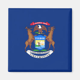 Staat der Michigan-Flagge Magnet