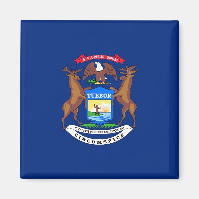 Staat der Michigan-Flagge Magnet (Vorne)
