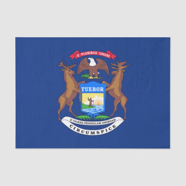 Staat der Michigan-Flagge Seidenpapier (Vorderseite)