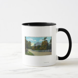 Staat Hwy Ansicht der Annäherung in Richtung zum Tasse