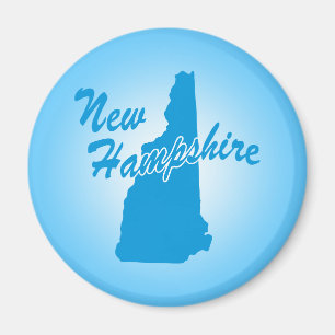 Staat New Hampshire Magnet
