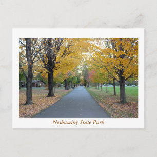 Staat Park Herbst Neshaminy Postkarte
