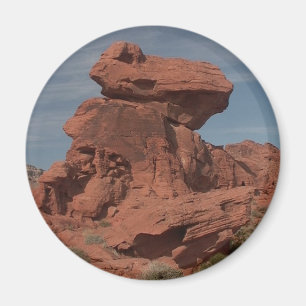 Staat parkt Magneten Magnet