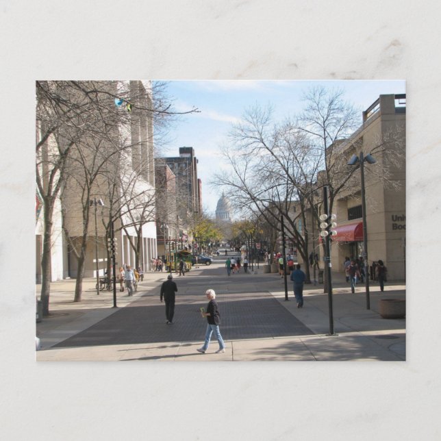 Staat Street Madison Wisconsin Library Mall Postkarte (Vorderseite)
