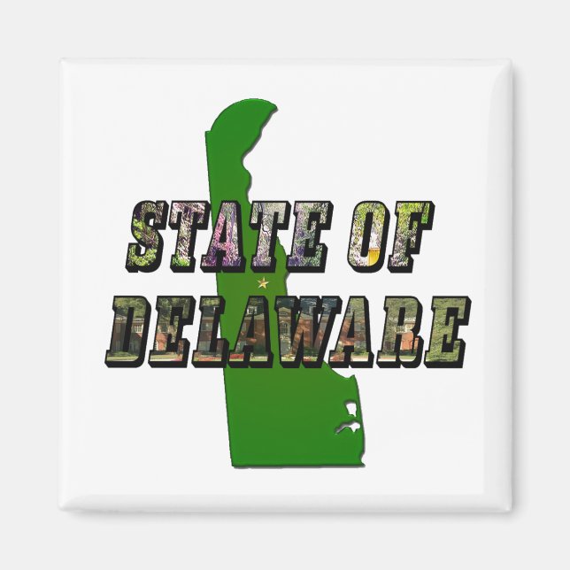 Staat von Delaware Picture Text & Map Kontur Magnet (Vorne)
