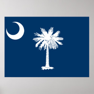 Staats-Flagge von South Carolina Poster