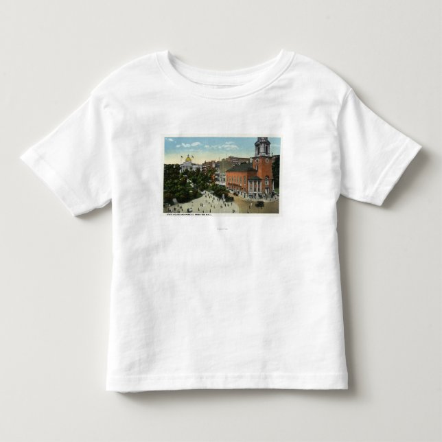 Staats-Haus-und Park-Straßen-Ansicht vom Mall Kleinkind T-shirt (Vorderseite)