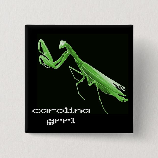 Staats-Insektenknopf Carolinas Grrl Button (Vorderseite)