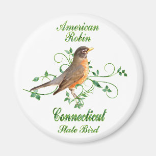 Staats-Vogel Robins Connecticut Magnet