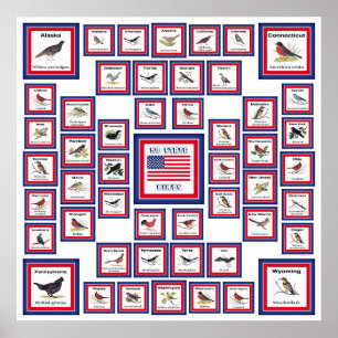 STAATS-VÖGEL WHITE/553 USA 50 POSTER