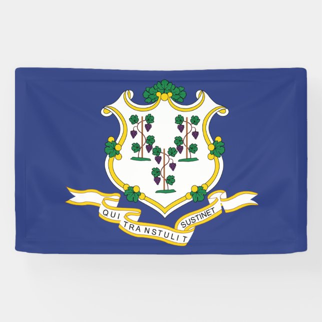 Staatsflagge Connecticut Banner (Horizontal)