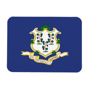 Staatsflagge Connecticut Magnet