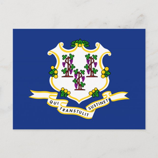 Staatsflagge Connecticut Postkarte (Vorderseite)
