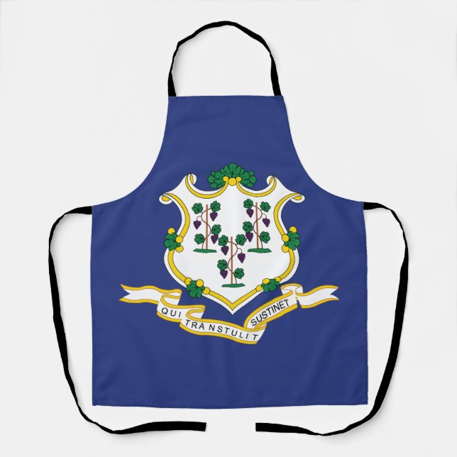 Staatsflagge Connecticut Schürze (Vorderseite)