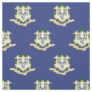 Staatsflagge Connecticut Stoff