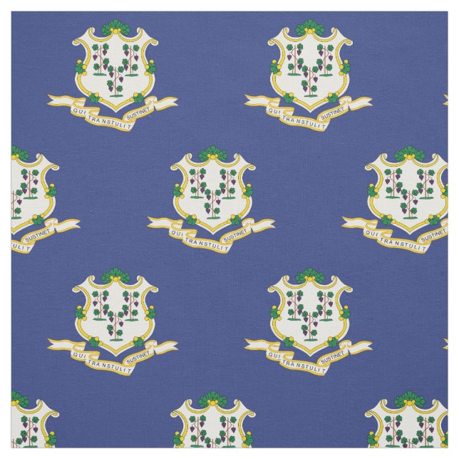Staatsflagge Connecticut Stoff (Muster)