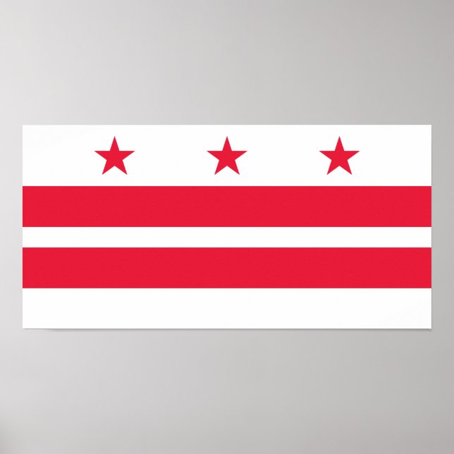 Staatsflagge der Washington DC Poster (Vorne)