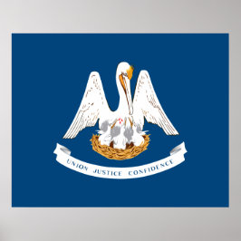 Staatsflagge in Louisiana Poster