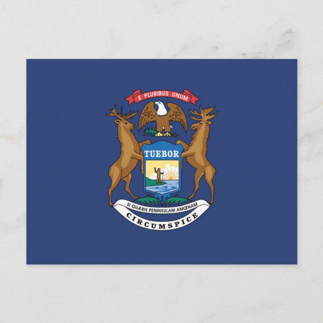 Staatsflagge in Michigan, USA Postkarte (Vorderseite)