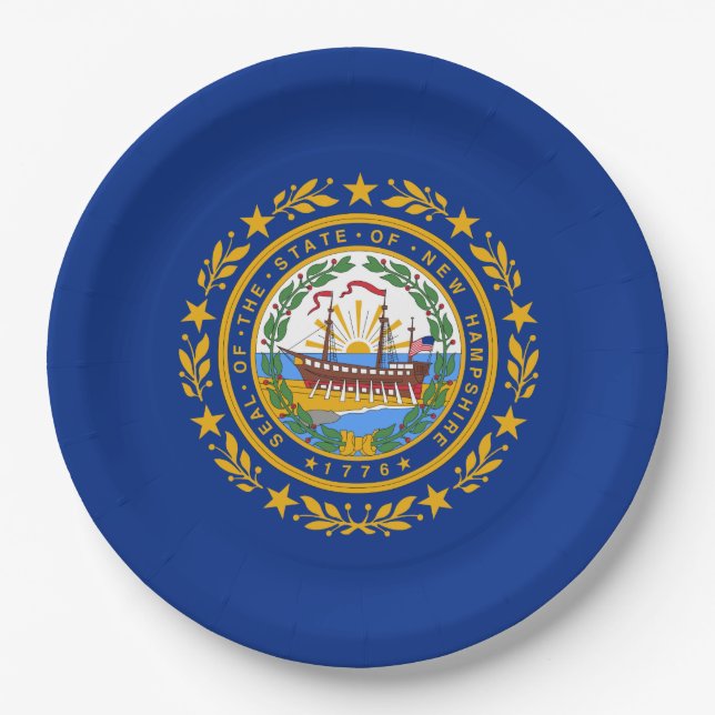 Staatsflagge in New Hampshire Pappteller (Vorderseite)