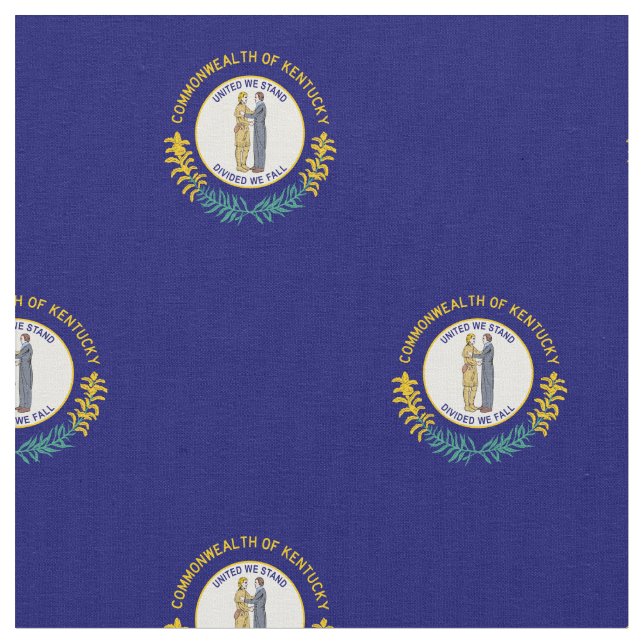 Staatsflagge Kentucky Stoff (Nahaufnahme)