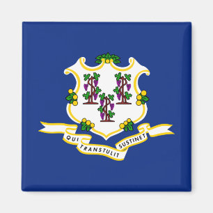 Staatsflagge von Connecticut Magnet
