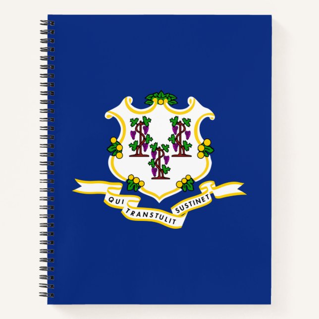 Staatsflagge von Connecticut Notizbuch (Vorderseite)