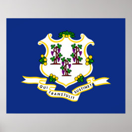 Staatsflagge von Connecticut Poster