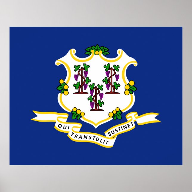 Staatsflagge von Connecticut Poster (Vorne)